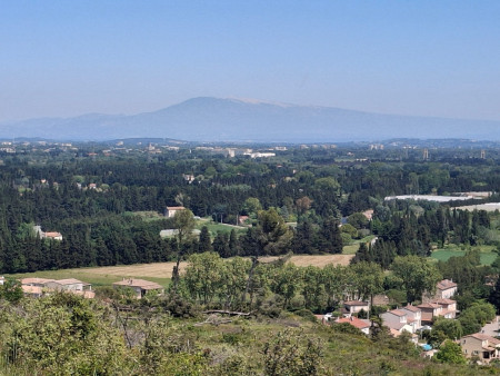 Au loin , le Mont Ventoux